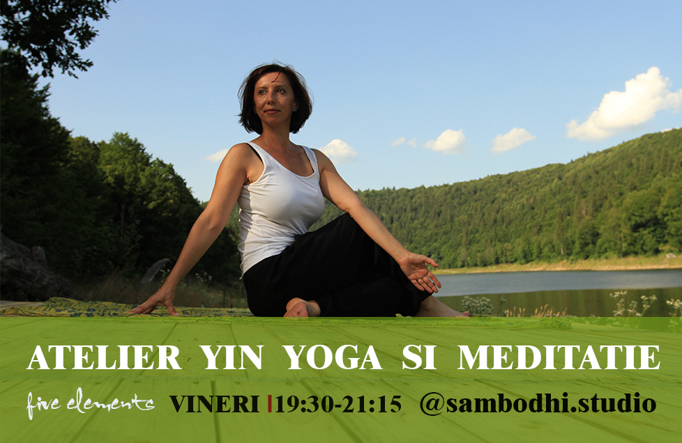 Atelier Yin Yoga si Meditatie