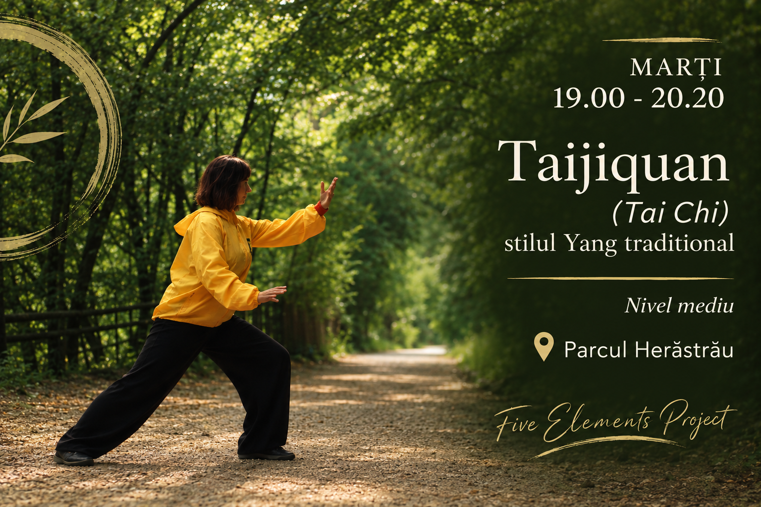 Tai Chi stilul Yang traditional – nivel mediu